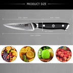 SHAN ZU 4 Inch Paring Knife, Japanese Steel Damascus Professional Kitchen Knives High Carbon Super Steel Carving Knife with Gift Box | Blade made of 67 layers of Damascus steel