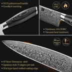 XINZUO Chef Knife 8 Inch Damascus Kitchen Knif