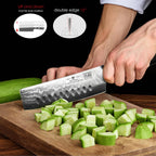SHAN ZU Chef Knife, Damascus Professional Extra Sharp Kitchen Knife